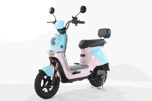 Dun Dun Bear (luxury light motorcycle)