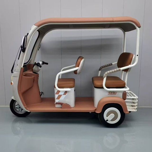 Electric Tricycle