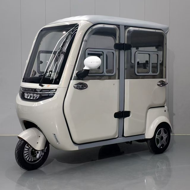 Electric Tricycle