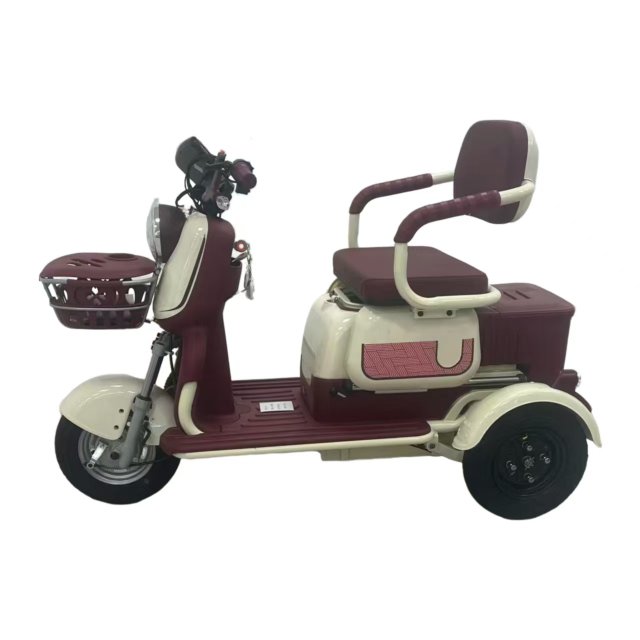 Electric Tricycle