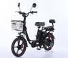 Electric Bicycle