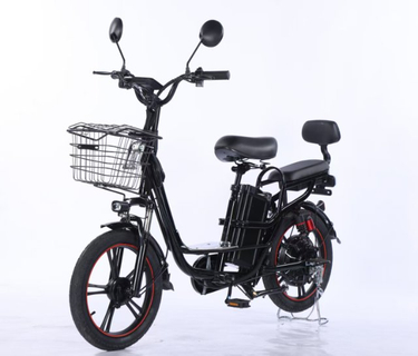 Electric Bicycle