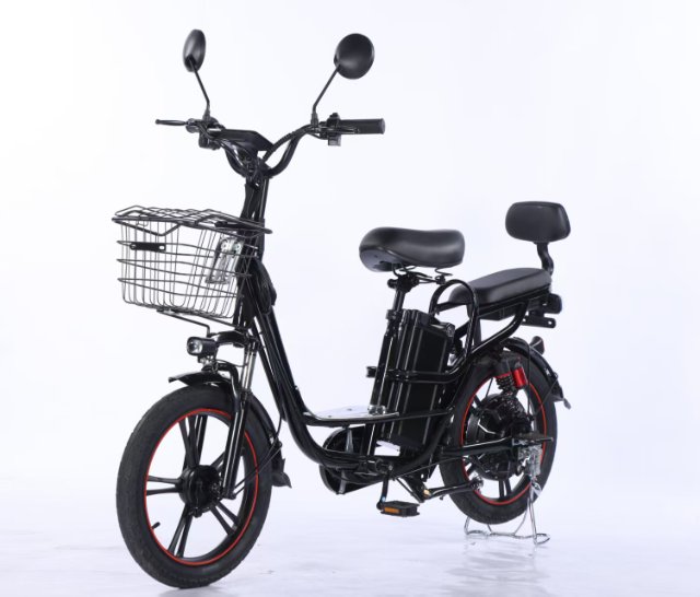 Electric Bicycle