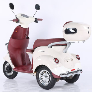 Electric Tricycle