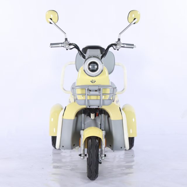 Electric Tricycle