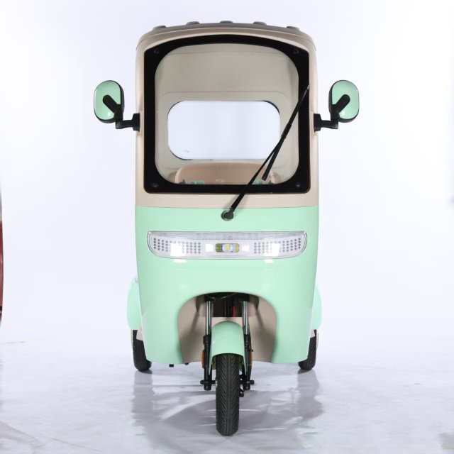 Electric Tricycle