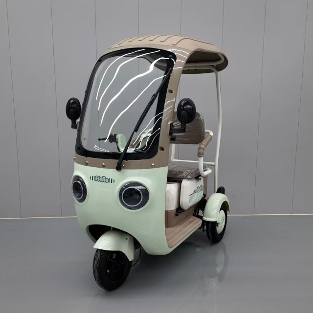 Electric Tricycle