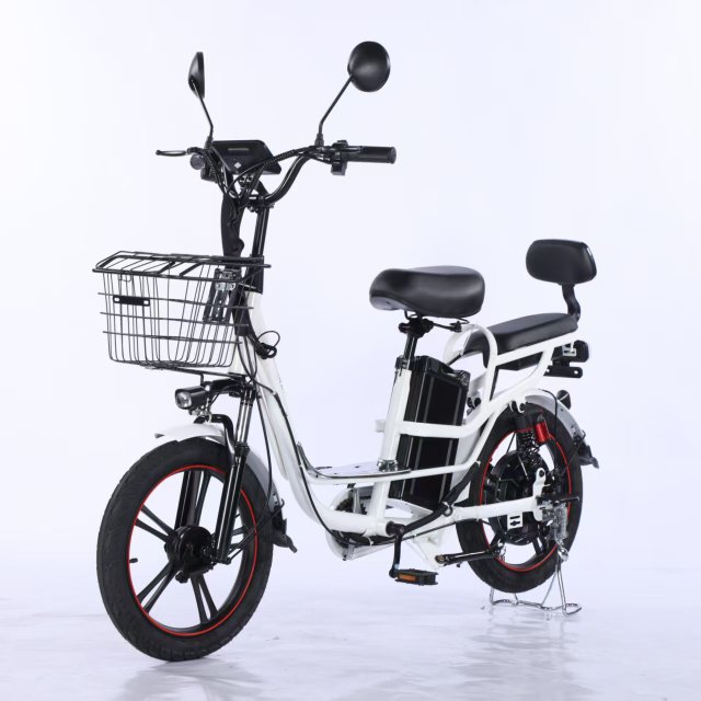 Electric Bicycle