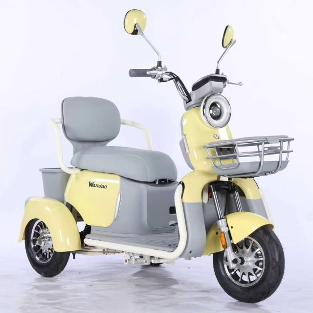 Electric Tricycle