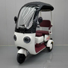 Electric Tricycle