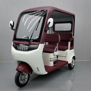 Electric Tricycle