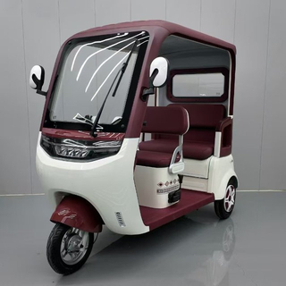 Electric Tricycle