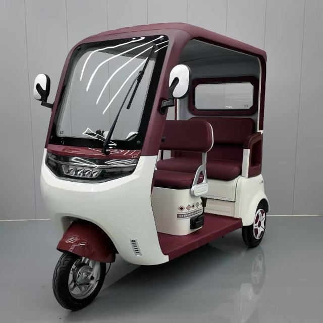 Electric Tricycle