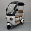 Electric Tricycle