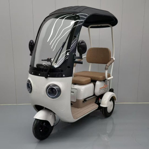 Electric Tricycle