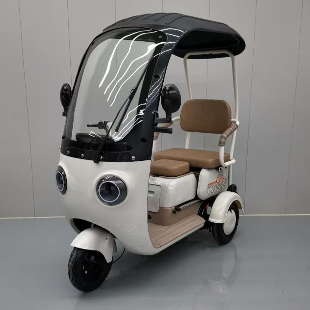 Electric Tricycle