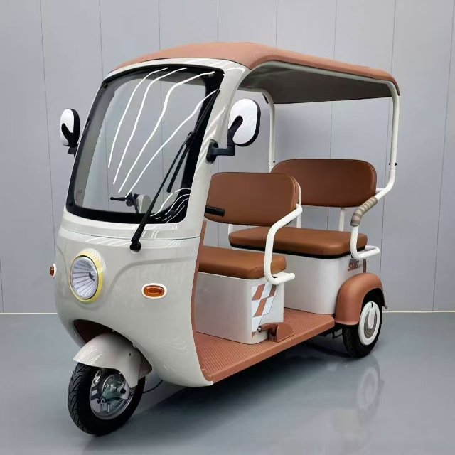Electric Tricycle