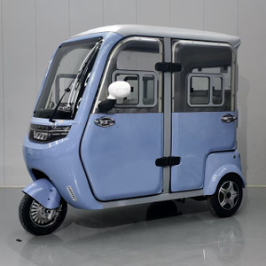 Electric Tricycle