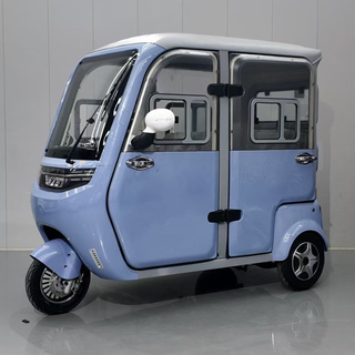 Electric Tricycle