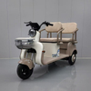 Electric Tricycle