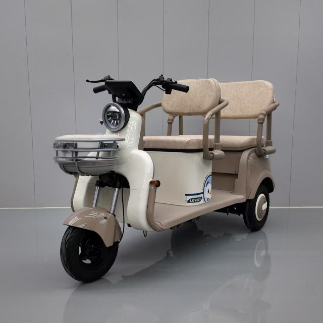 Electric Tricycle