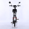 Electric Bicycle