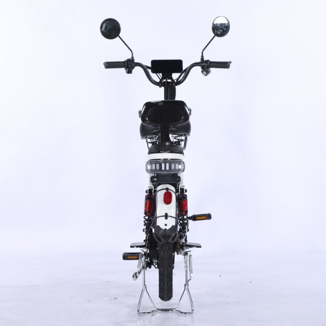 Electric Bicycle
