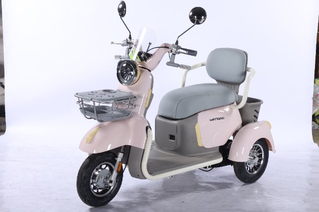 Electric Tricycle