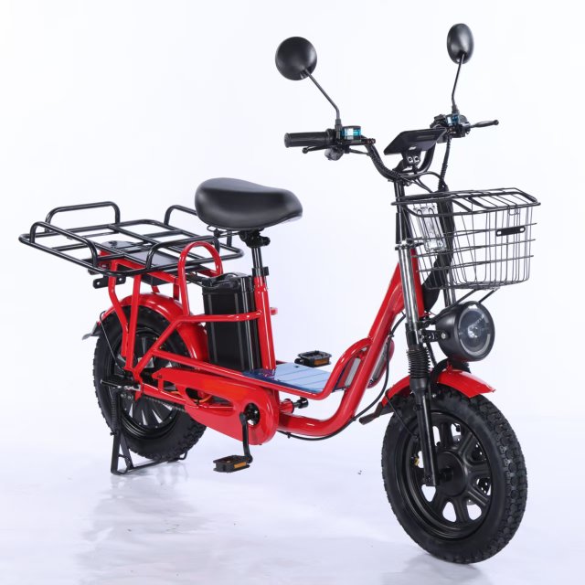Electric Bicycle