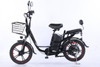 Electric Bicycle