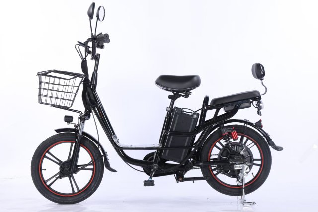 Electric Bicycle