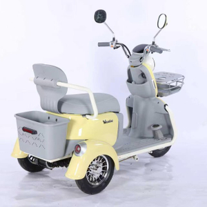 Electric Tricycle