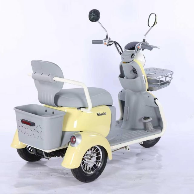 Electric Tricycle
