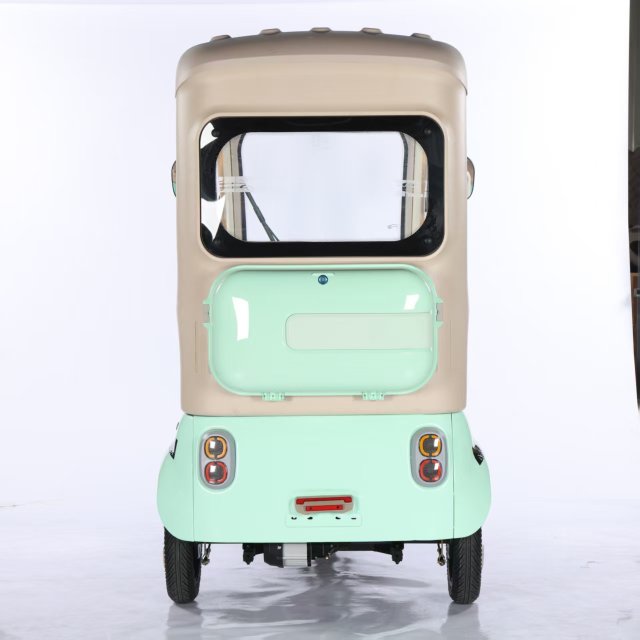 Electric Tricycle