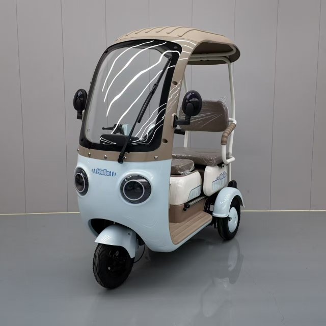 Electric Tricycle