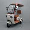 Electric Tricycle