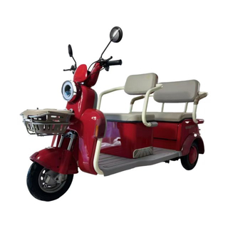 Electric Tricycle
