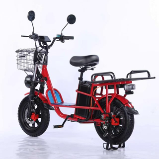 Electric Bicycle
