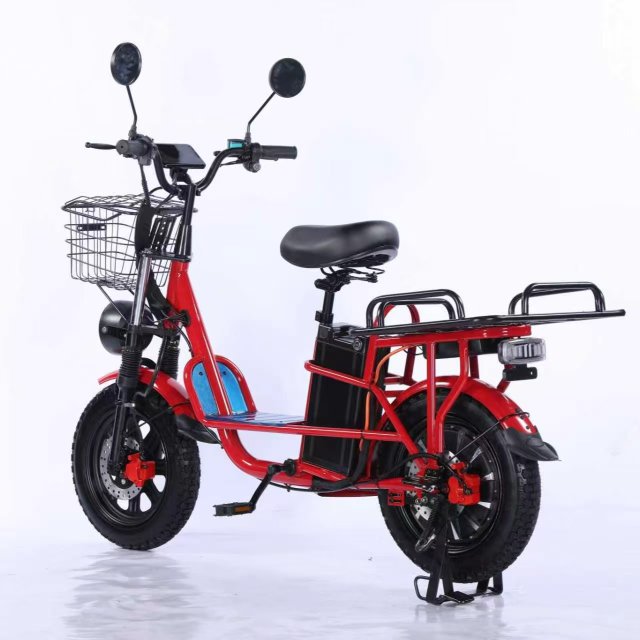 Electric Bicycle