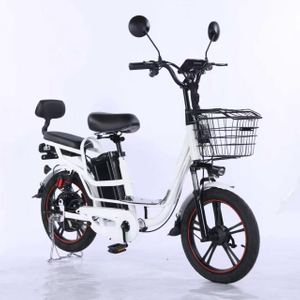 Electric Bicycle