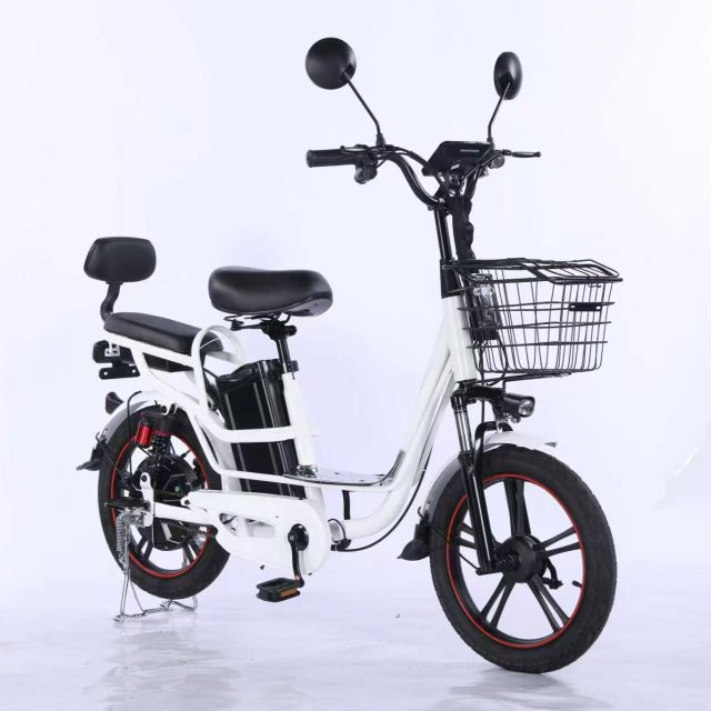 Electric Bicycle