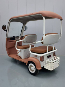 Electric Tricycle