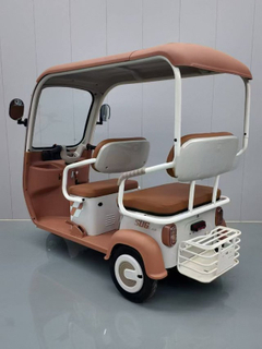 Electric Tricycle