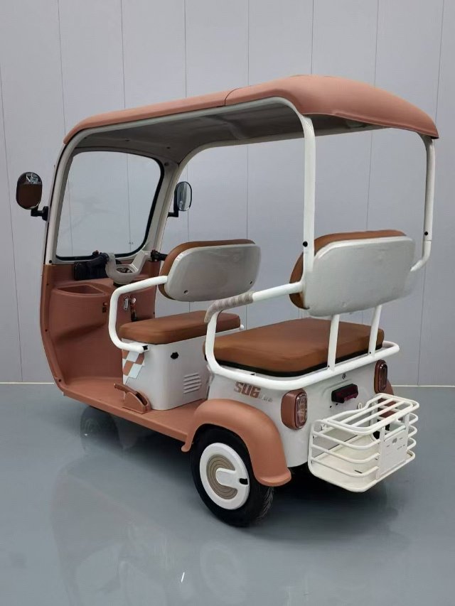 Electric Tricycle