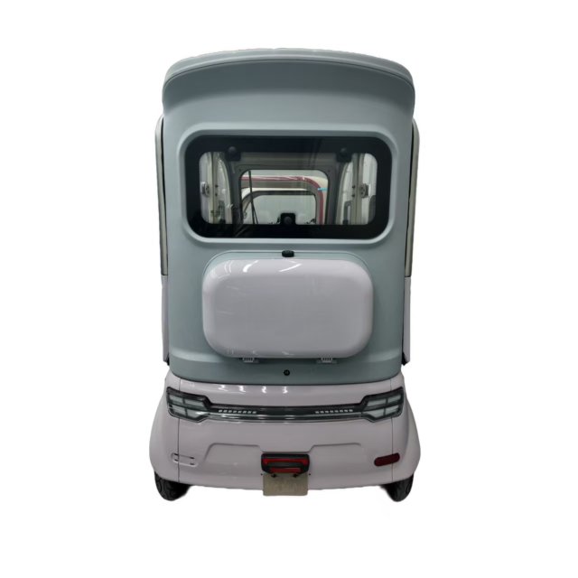 Electric Tricycle