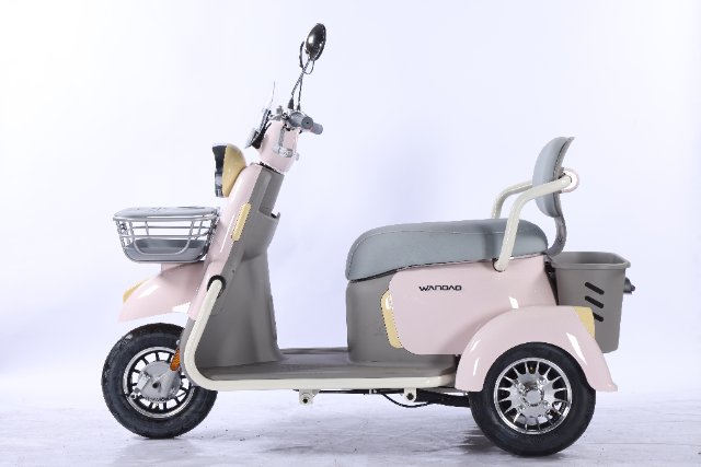 Electric Tricycle
