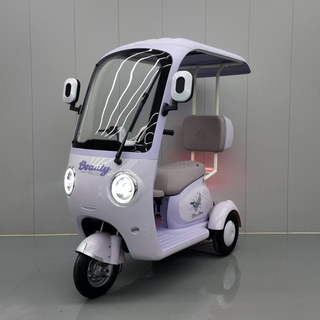 Electric Tricycle