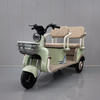 Electric Tricycle