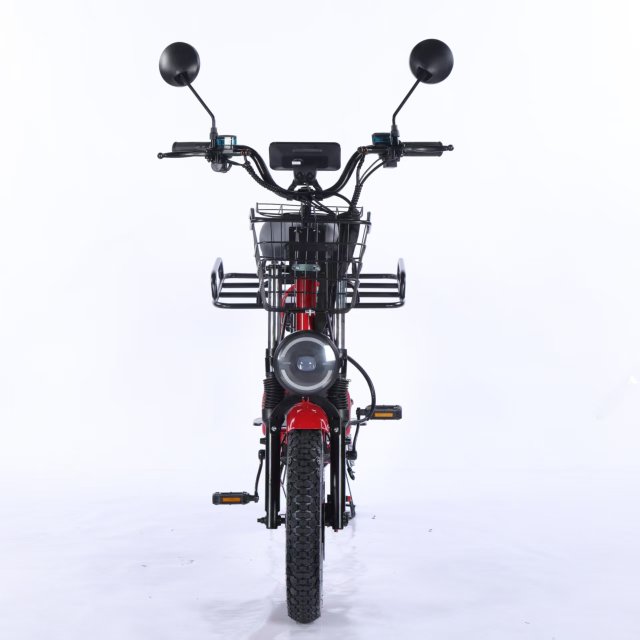 Electric Bicycle