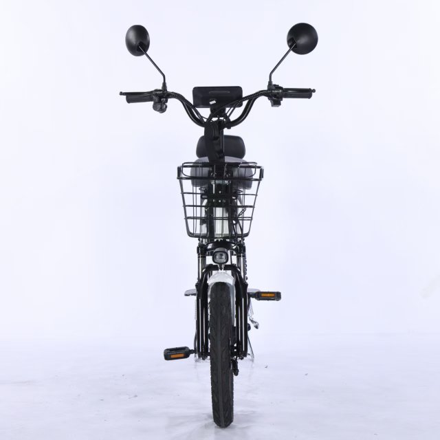 Electric Bicycle